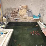 Garden House Elli 2 Min * Rhodes City