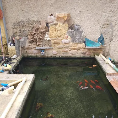 Garden House Elli 2 Min * עיר רודוס